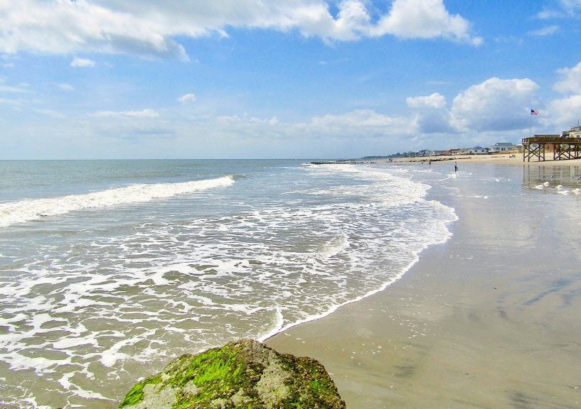 Edisto Beach State Park, South Carolina, USA